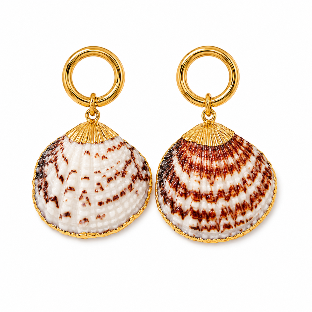 Natural Seashell Earrings