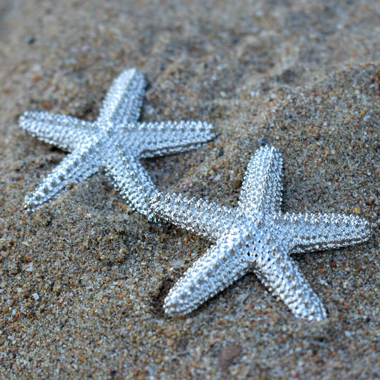 Starfish Shine Earrings